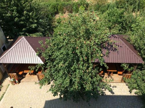 Hostal Liman Guest House