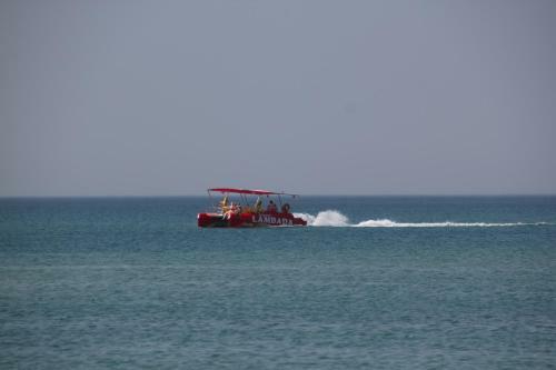 Hostal Liman Guest House