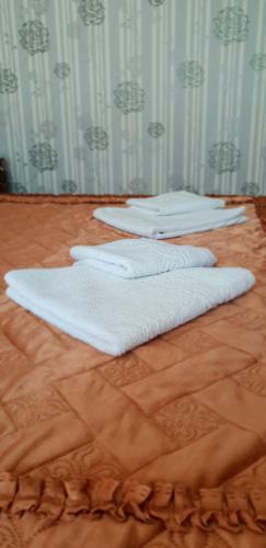 Posada Zolotye Peski Mini-hotel