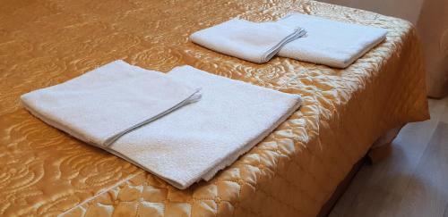 Posada Zolotye Peski Mini-hotel