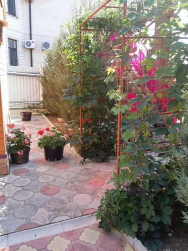 Posada Zolotye Peski Mini-hotel