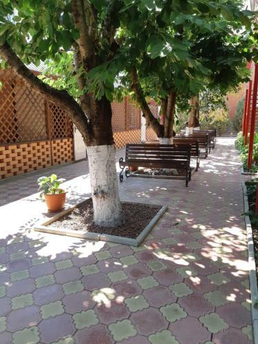 Posada Zolotye Peski Mini-hotel