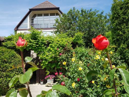 Hostal Villa Rose