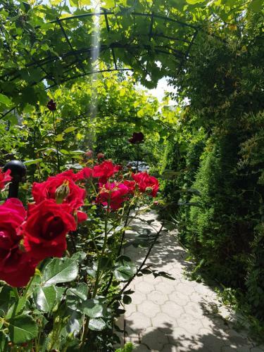 Hostal Villa Rose