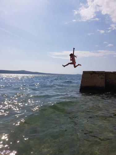 Apartment Novigrad Holiday