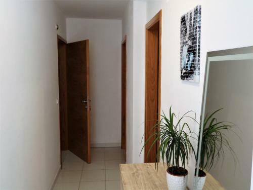 Apartments Relax Antodo