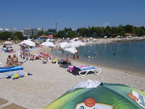 Apartments Novigrad (657)