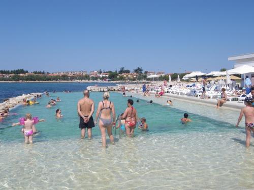 Apartments Novigrad (657)