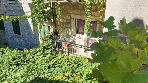 Omis Center Apartments