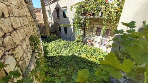 Omis Center Apartments
