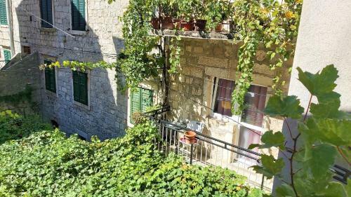 Omis Center Apartments