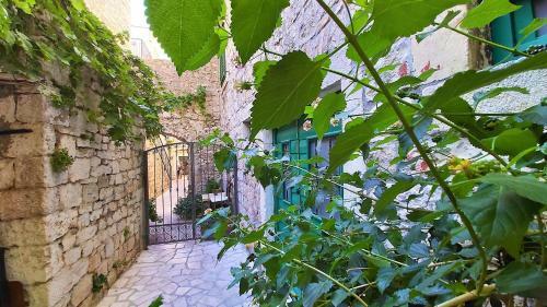 Omis Center Apartments