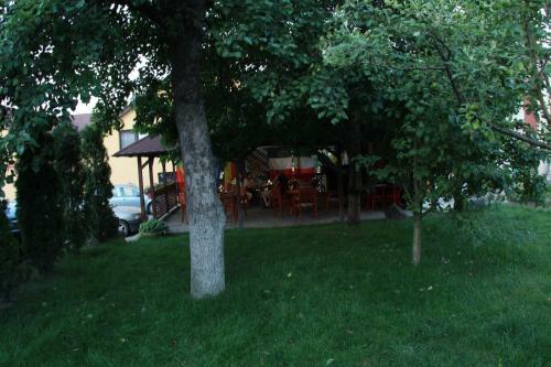 Hostal Pensiunea Blanca