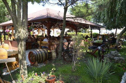 Hotel Poienita