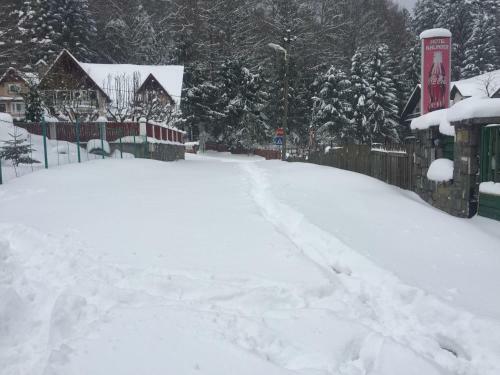 Hostal Pensiunea Kalinder