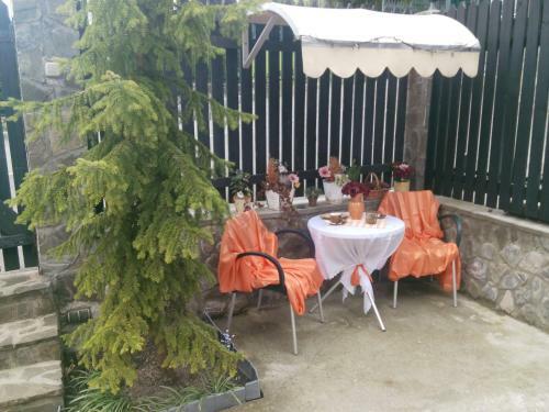 Hostal Pension Paunasul