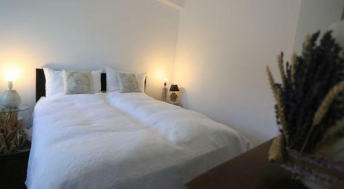 Hostal Villa Ermitage