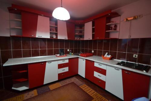 Villa Vila Ioana