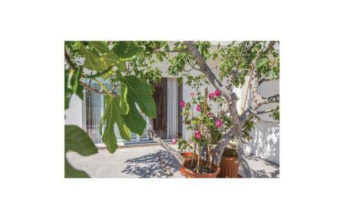 Two-bedroom Apartment In Klek