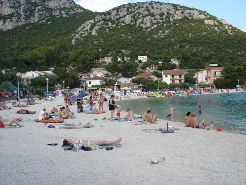 Apartments Katica