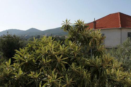 Hostal Apartments And Rooms With Parking Space Mrljane, Pasman - 299
