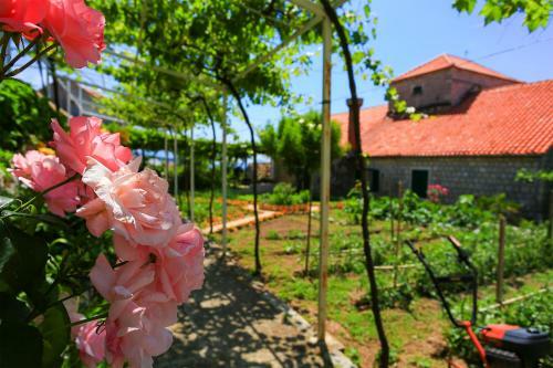 Apartamentos Guest House Savonari