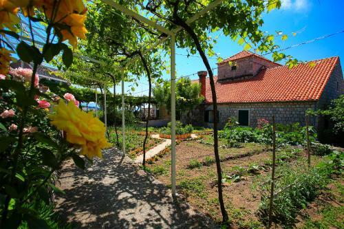 Apartamentos Guest House Savonari