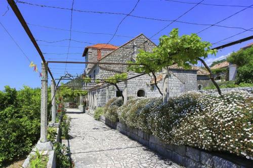 Apartamentos Guest House Savonari