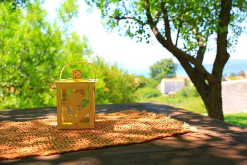 Apartamentos Guest House Savonari