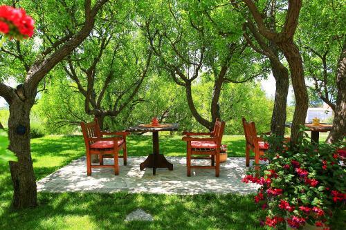 Apartamentos Guest House Savonari