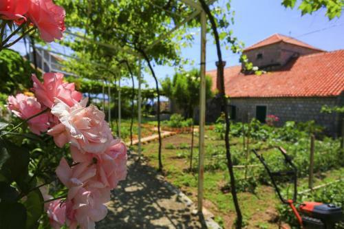 Apartamentos Guest House Savonari
