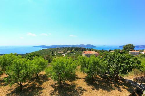 Apartamentos Guest House Savonari