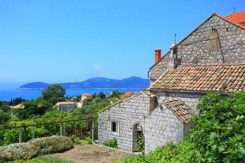 Apartamentos Guest House Savonari
