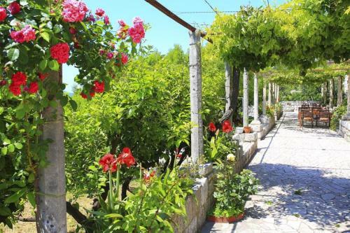 Apartamentos Guest House Savonari