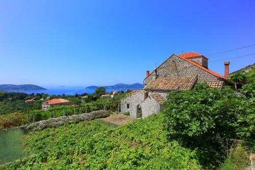 Apartamentos Guest House Savonari