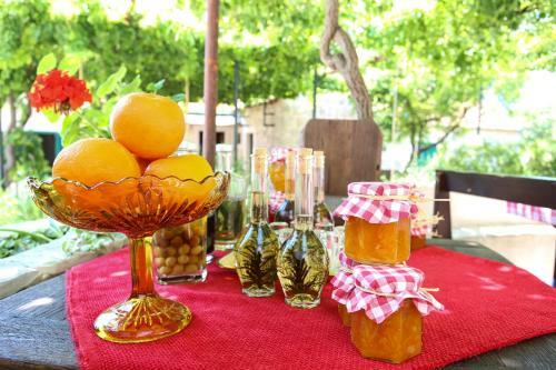 Apartamentos Guest House Savonari