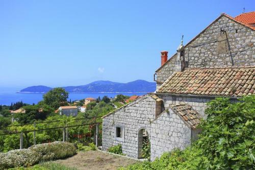 Apartamentos Guest House Savonari