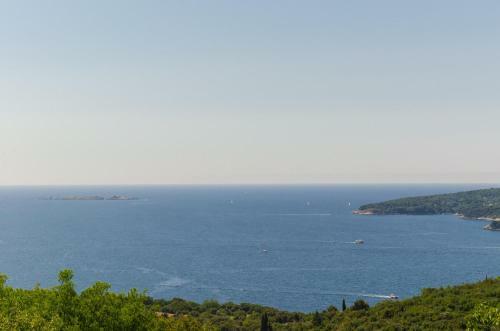 Apartamentos Guest House Savonari