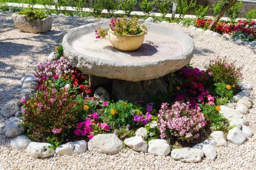 Apartamentos Guest House Savonari