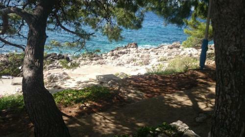 Apartments Dunja Hvar