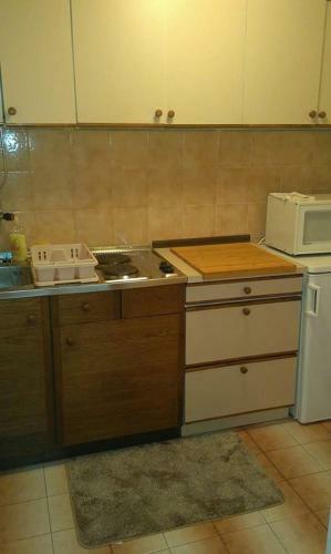 Apartment Vesna