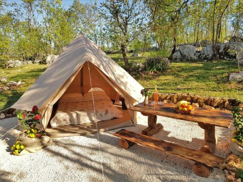 Robinson Accommodation Freedom