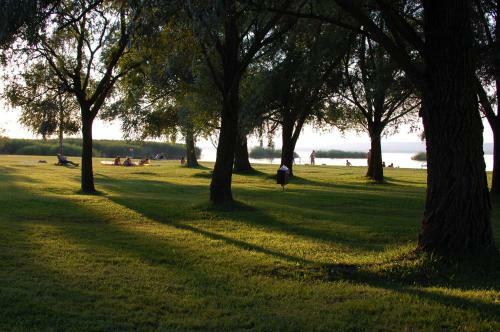 Lake House Farsang