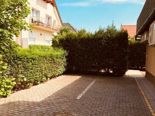 Bed & Breakfast Z�ldtet? Panzi�