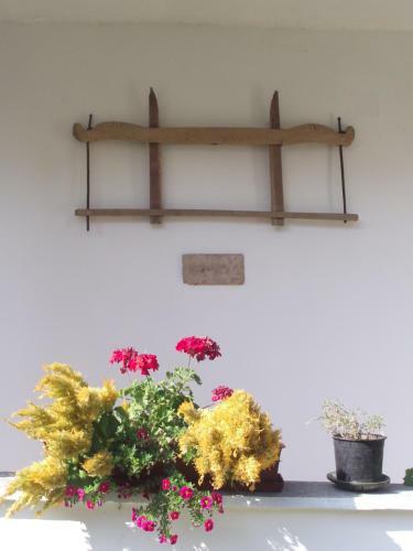 Hostal �gk?ris Vend�gh�z