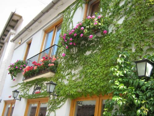 Hostal Gimi Vend�gh�z