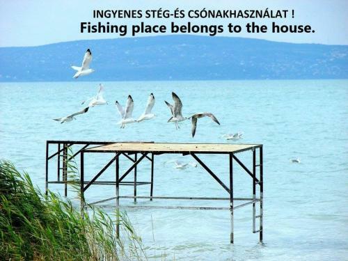 Holiday House / Ferienhaus Annamaria 80m From Beach