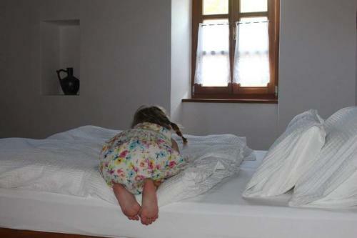 Bed & Breakfast Ar�csi Vend�gh�z