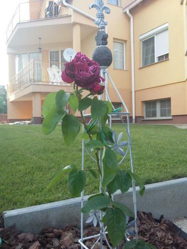 Apartamento Li-do Vend�gh�z