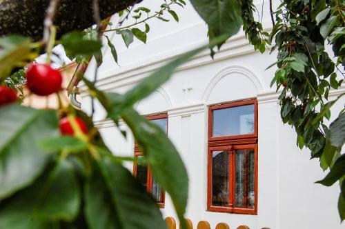Hostal Vitamin B63 Vend�gh�z
